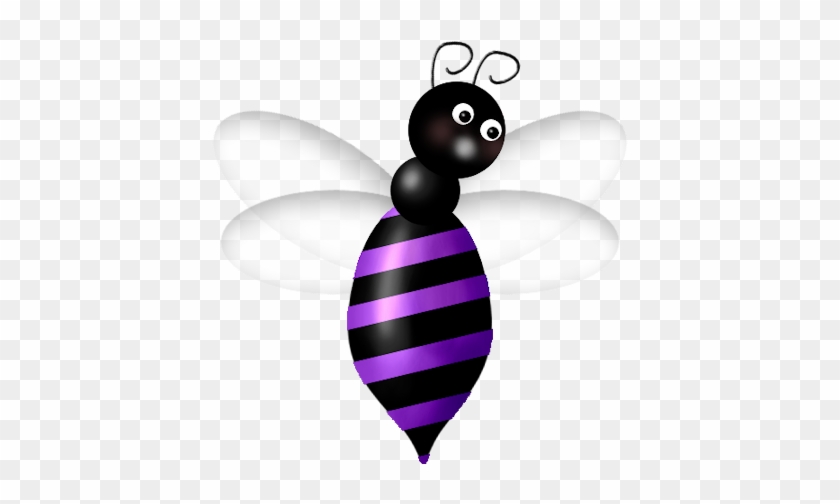 Album - Insect #1700326
