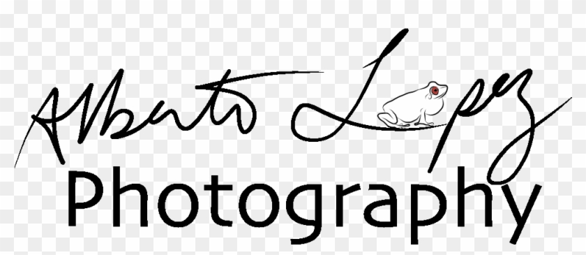 Alberto Lopez - Photography #1702008