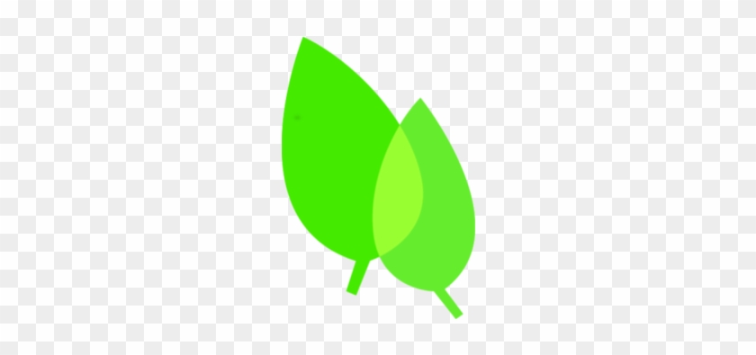 Hoja Png - Hoja Png #1702306