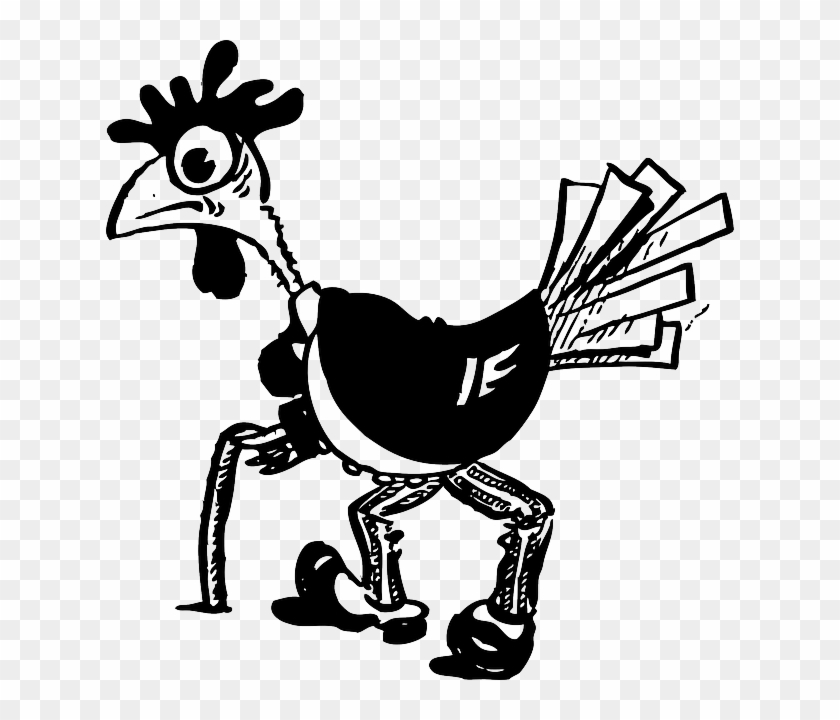 Old Bird #1702675