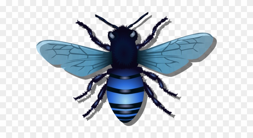 Bee Blue Image - Clip Art Real Bee #1703048
