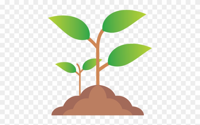 Garden Planning - Garden Planning #1704387