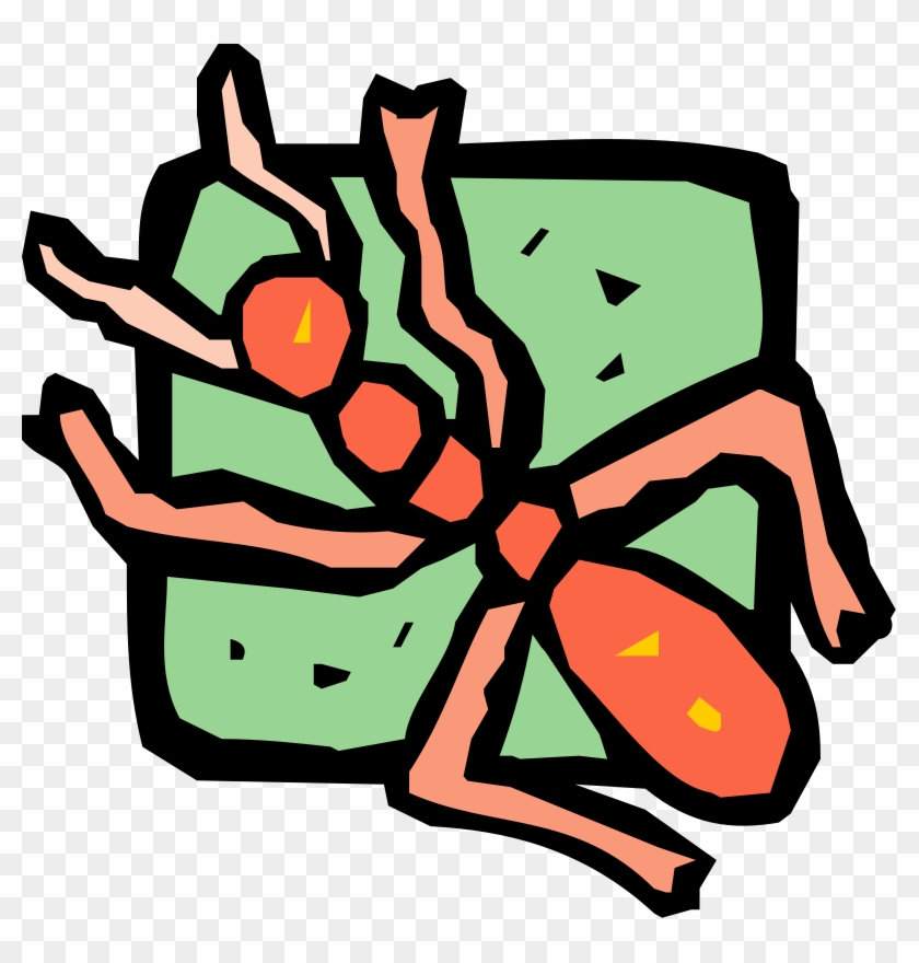 Free Vector Insect - Vector Graphics #1705416