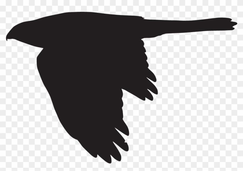 Coopers Hawk Clipart Kite Bird - Goshawk Silhouette #1705542