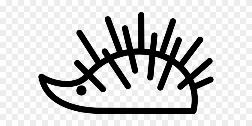 Animal, Hedgehog, Spines, Drawing - Honesty #1705707