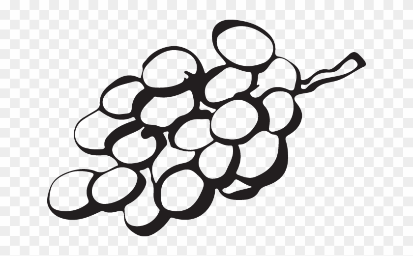 Grapes #1705813