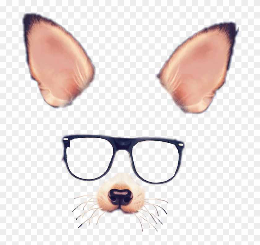 Snapchat Filters Clipart Face - Snapchat Dog Filter With Glasses #1707150