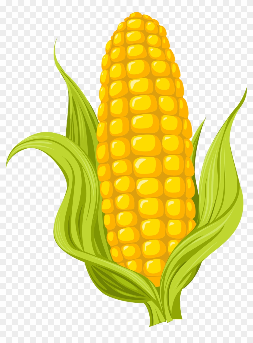 Maize Drawing Photography Illustration - Sweet Corn Pictures Cartoon #259943