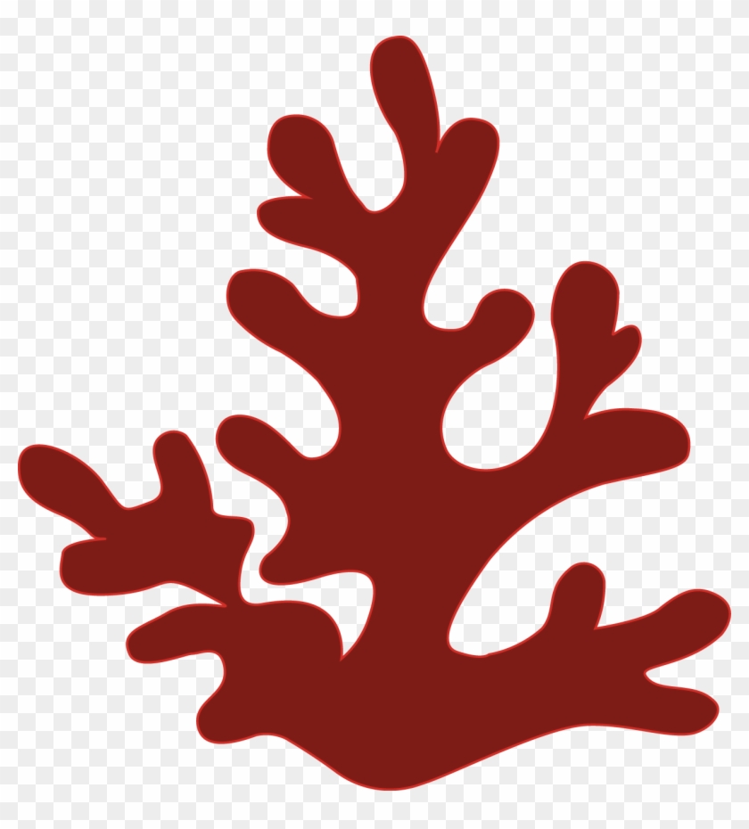 Fringing Reefs Are Predominant In The Red Sea - Vector Image Of Coral #1707634