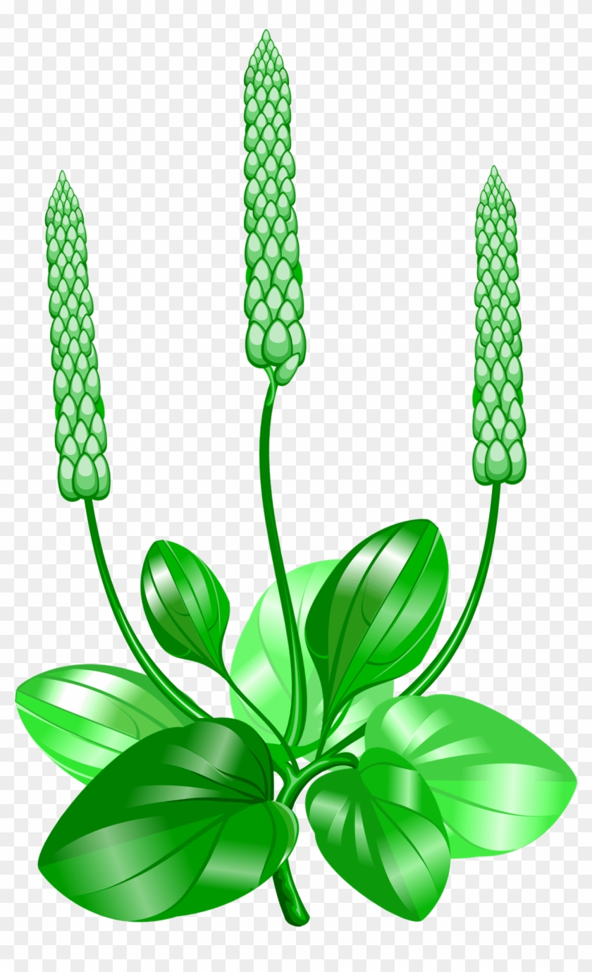 Stock Chart Clip Art - Анимация Биология #1707666