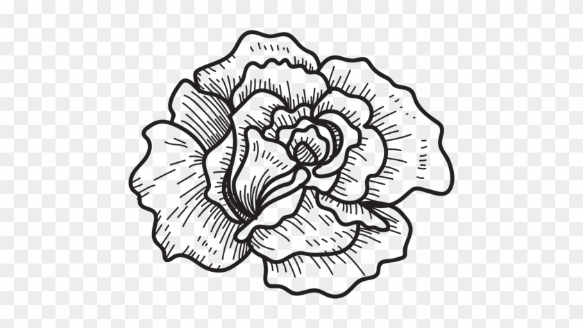 Floral Design Drawing Computer - Roses Drawing Transparent #1709340