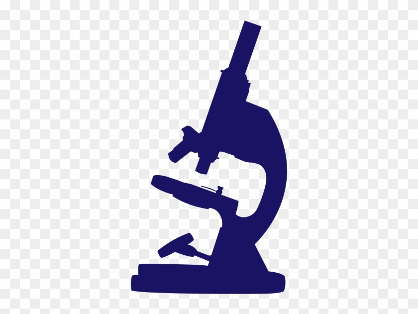 New Study Finds “important Deficiencies” In University - Snowboarding #1709806
