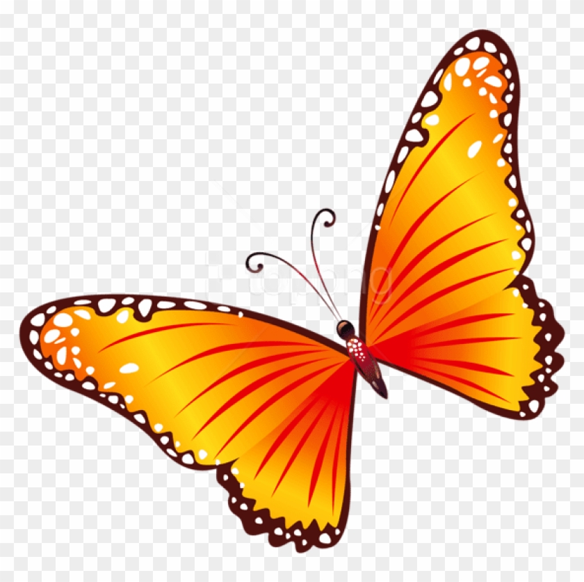 100 Butterfly Clipart - Yellow And Red Butterfly #1709814