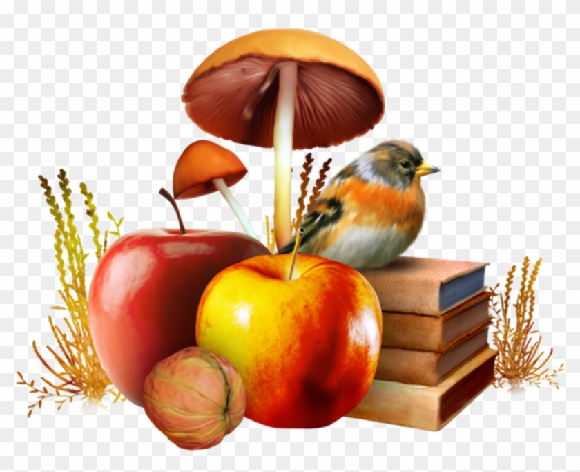 Diagram Network Wallpaper Desktop Autumn Graphics Portable - Mushroom Botanical #1710568