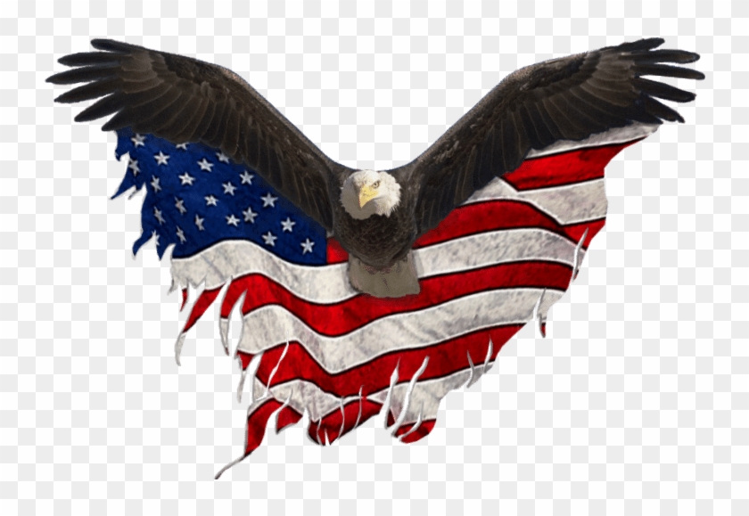 748 X 533 24 - United States Eagle #1710635