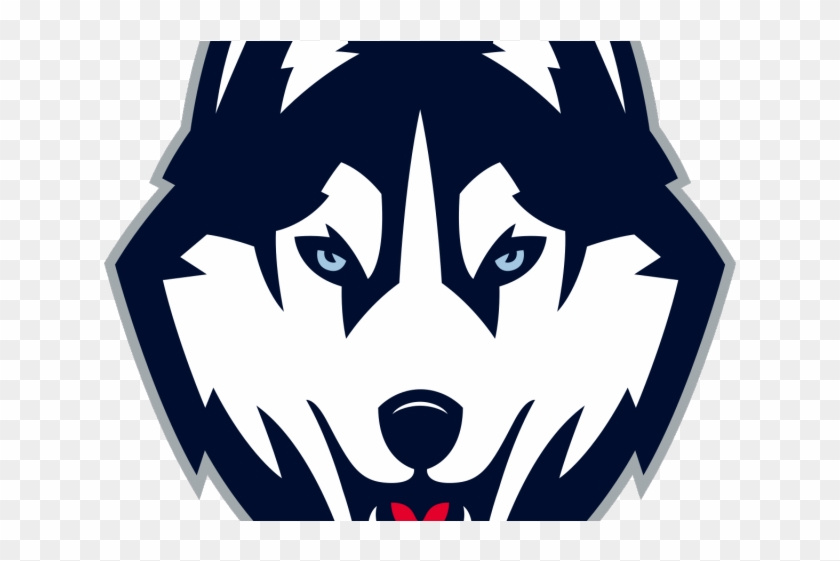Husky Clipart Washington Huskies - Uconn Husky Logo Png #1710977