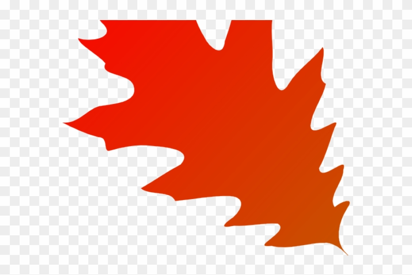 Autumn Leaves Clipart Transparent Background 22 500 - Red Oak Leaf Clipart #1711476
