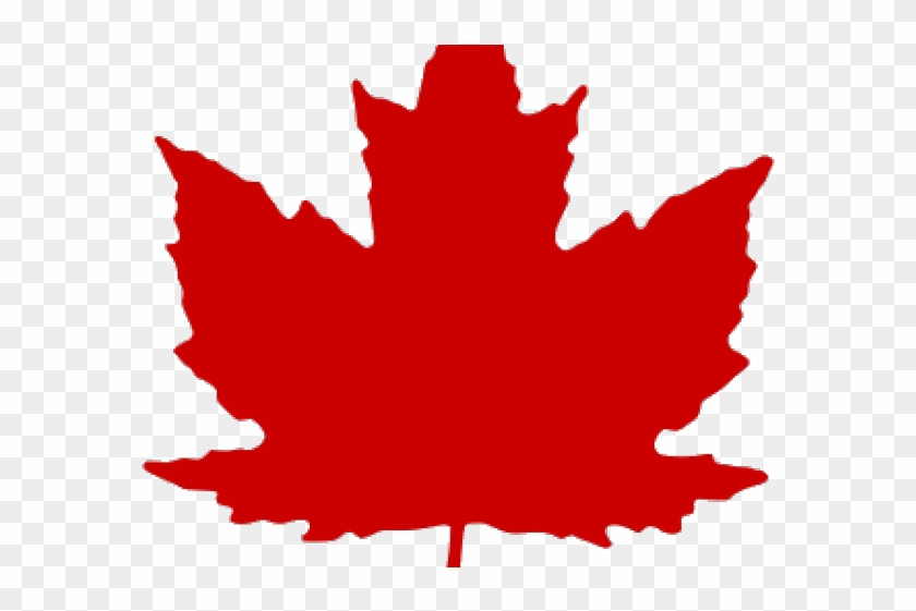 Autumn Leaves Clipart Clear Background - Canadian Air Force Roundel #1711479