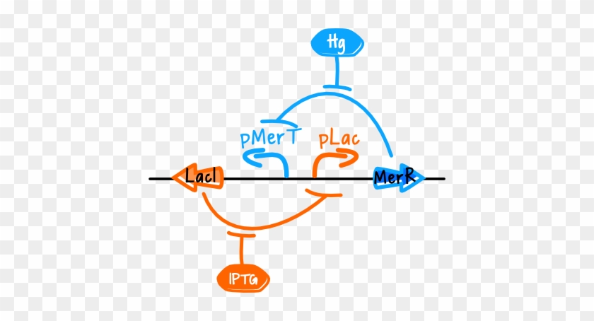 The Toggle Switch - The Toggle Switch #1712667