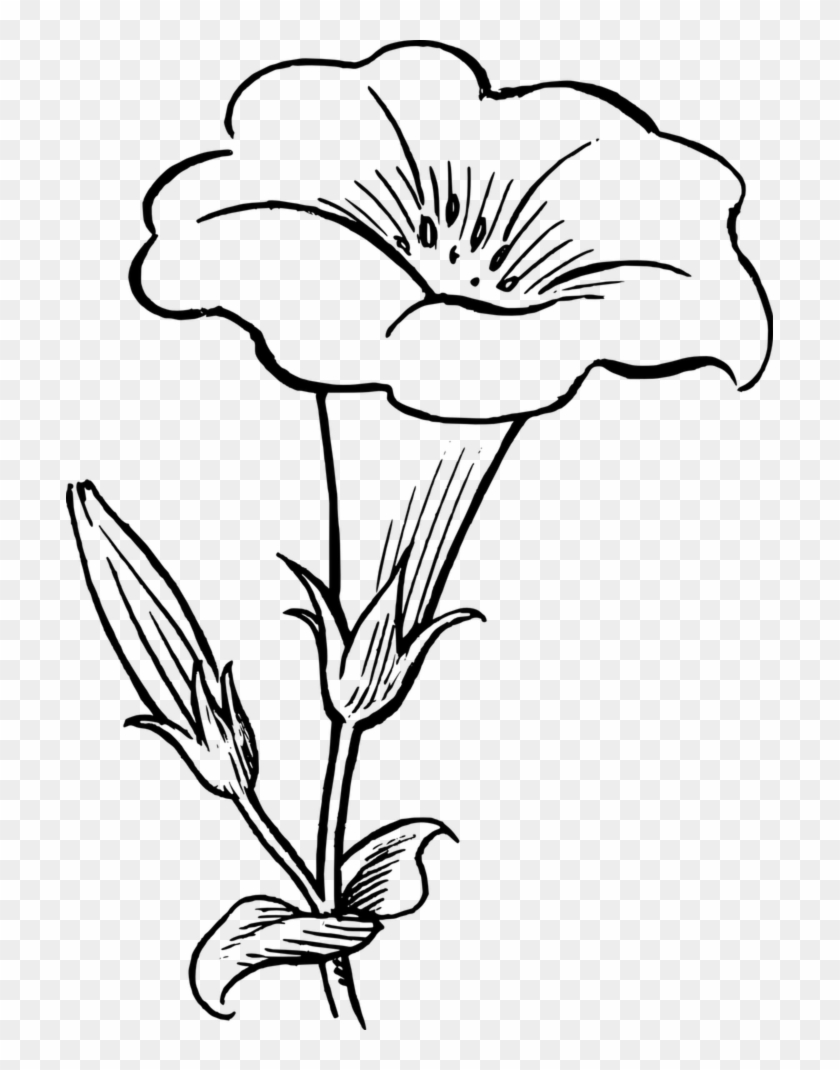 Funeral Flower Clipart - Yellow Bell Flower Drawing #1713145