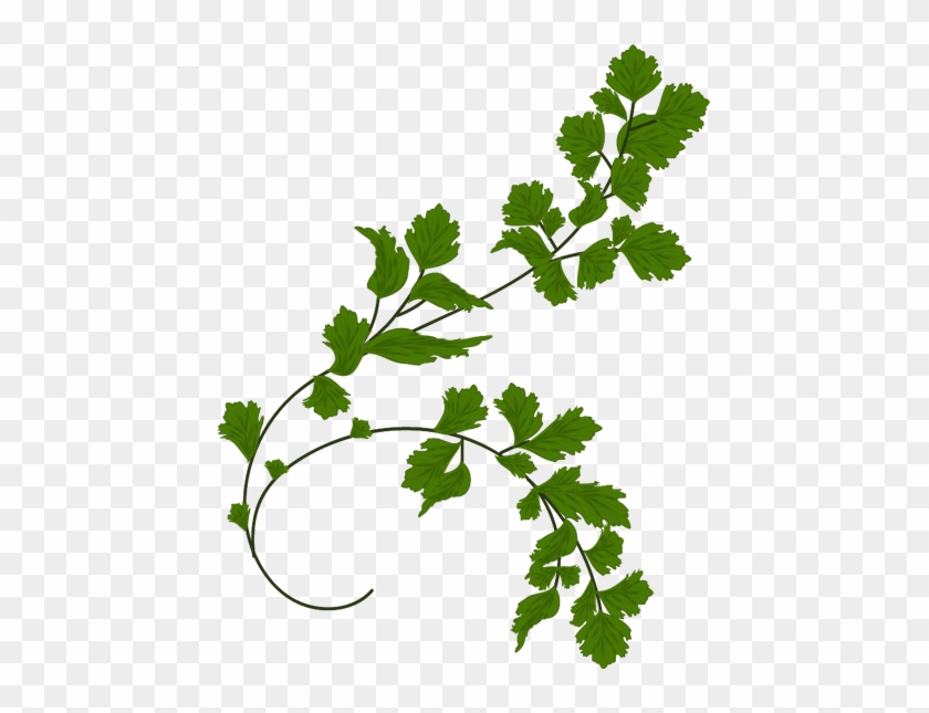 Vector Free Flowers Verdure Botanica Pinterest - Vector Free Flowers Verdure Botanica Pinterest #1713395