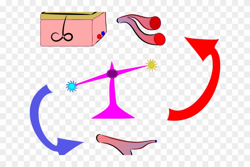 Cold Clipart Homeostasis - Thermoregulation Clipart #1715560