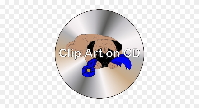 Pug #1716776