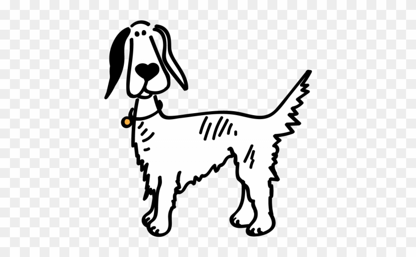 Setter, Brittany And Pointer Rescue Asturias - Setter, Brittany And Pointer Rescue Asturias #1718659