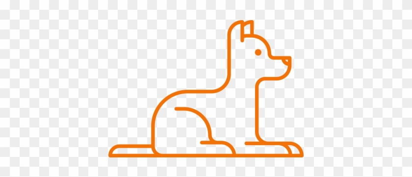 Dog - Dog #1718676