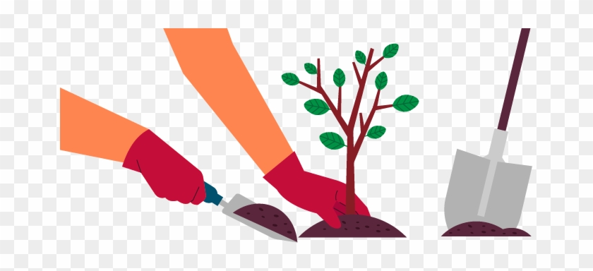 669 X 304 2 - Tree Planting Clipart Png #1721510