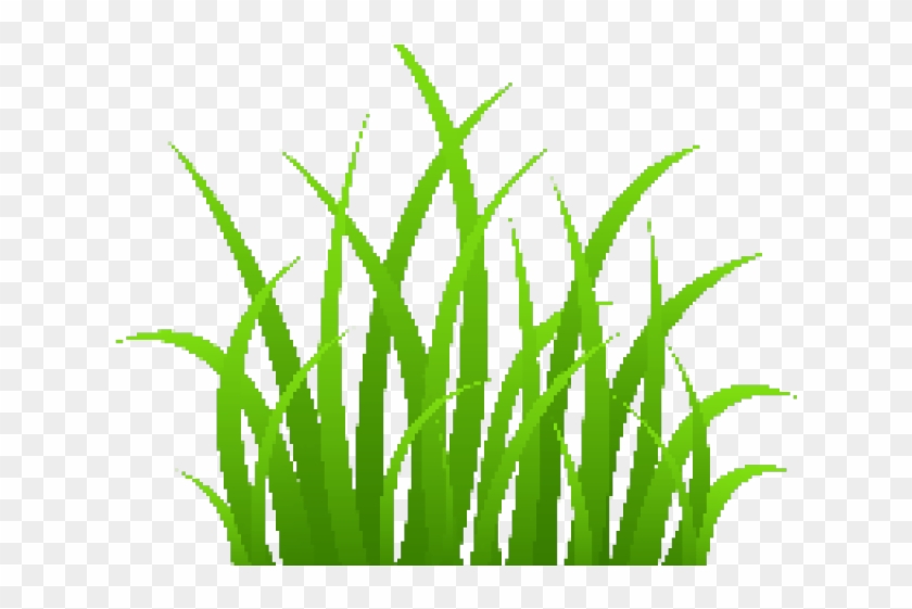 Dry Grass Clipart Wispy - Grass Clipart #1722550