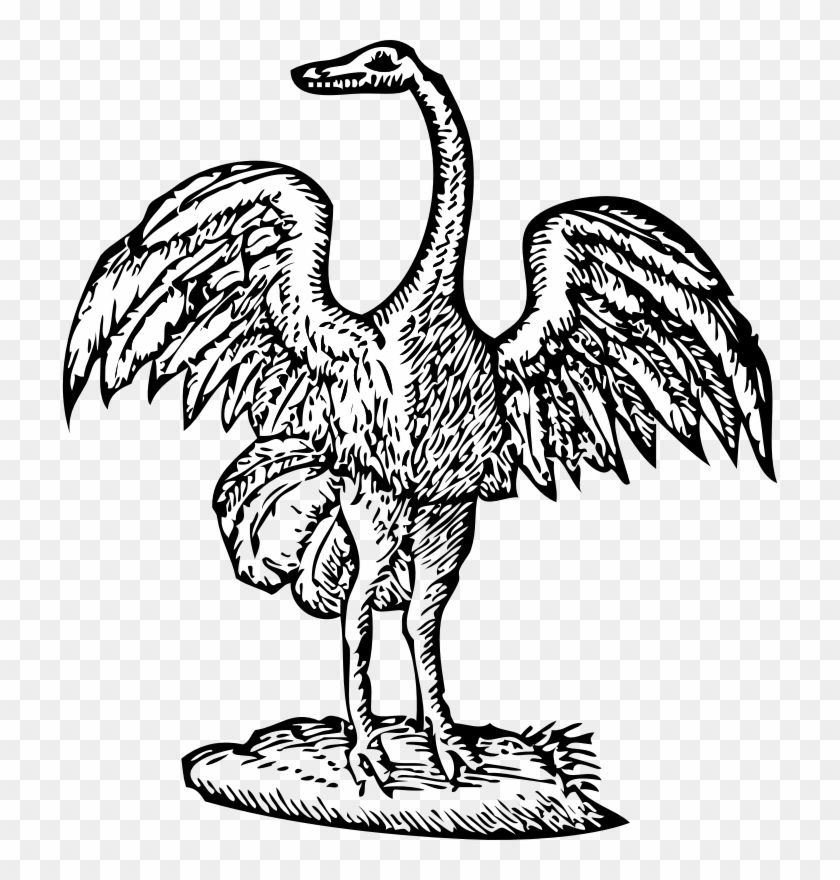 Medium Image - Bird Engraving #1722635