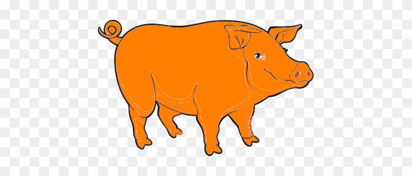 Pig1 - Pig - Pig1 - Pig #1722986