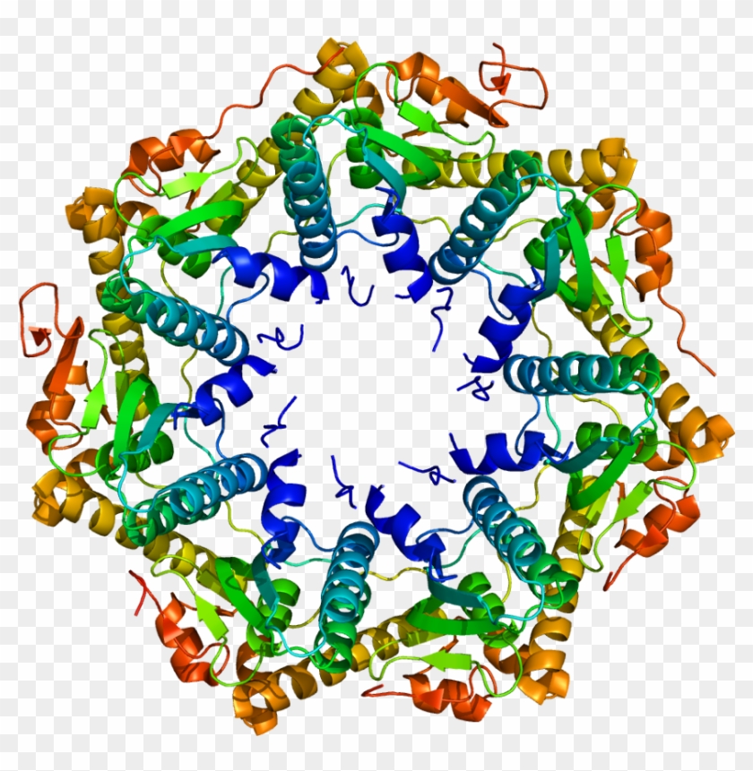 Clp Protease #1724667