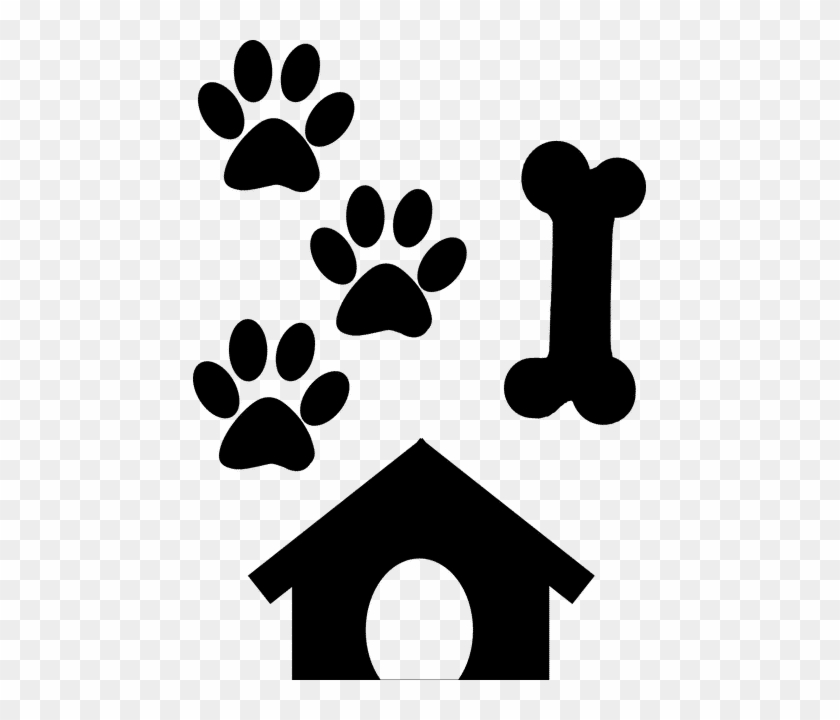 Null - Black Paws #1725358