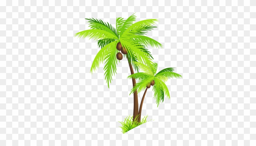 Transparent Palm Tree Png #1726736
