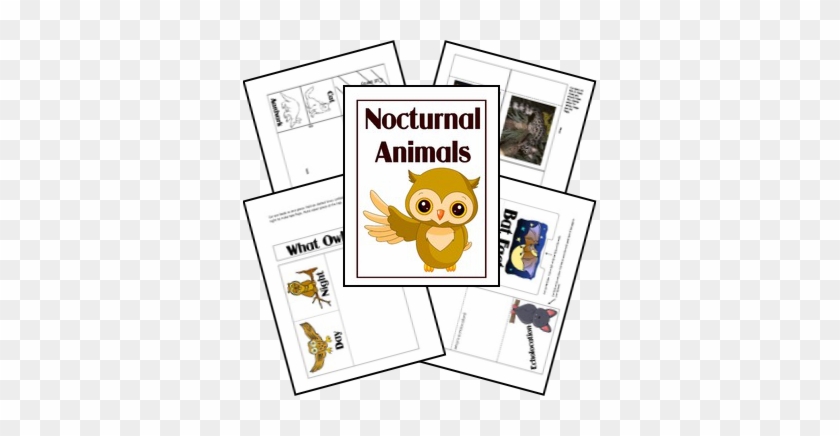 Blessed Beyond A Doubt Animal Activities, Preschool - Blessed Beyond A Doubt Animal Activities, Preschool #1727174