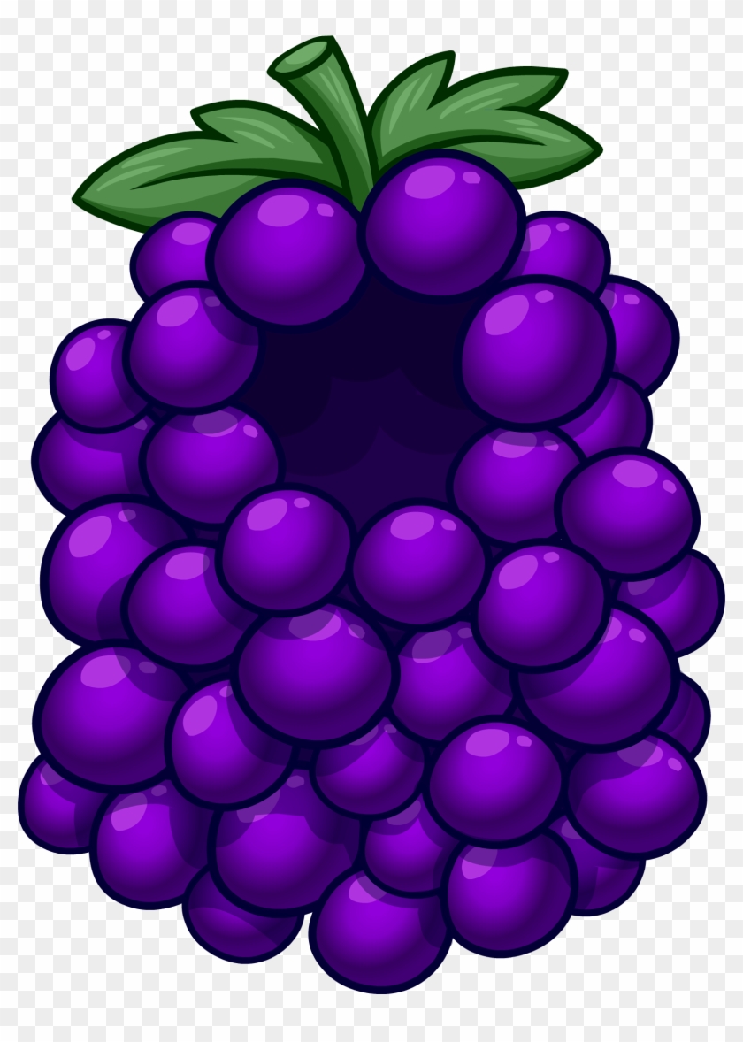 Costume Club Penguin Wiki - Grapes Costume Paper #1728434