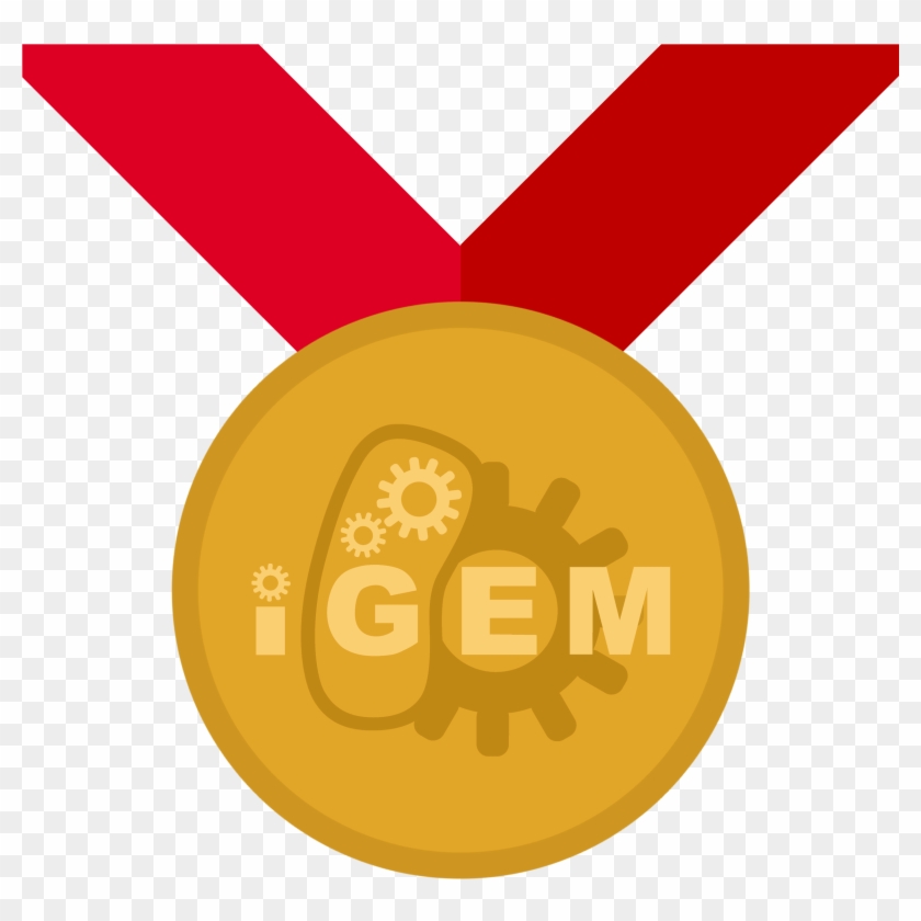 Medal Clipart Gold Circle - Gold Medal Igem #1729289