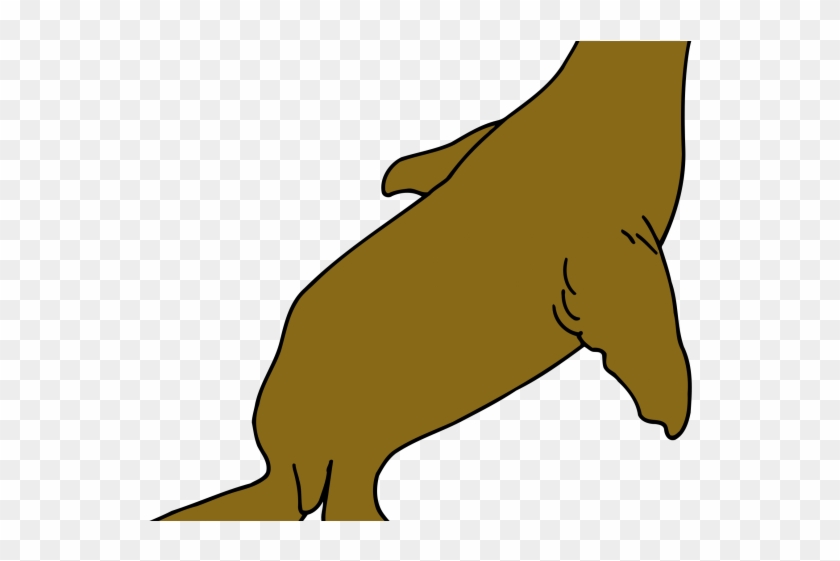 Seal Clipart Colour - Seal Clipart Colour #1730093