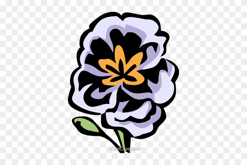 Primrose Royalty Free Vector Clip Art Illustration - Primrose Royalty Free Vector Clip Art Illustration #1731487