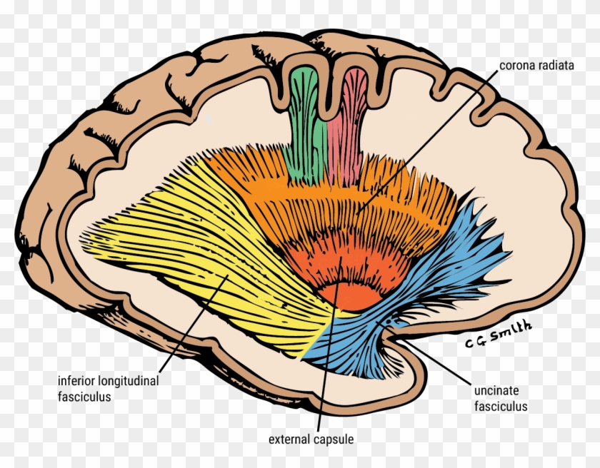 Diagram #1732359
