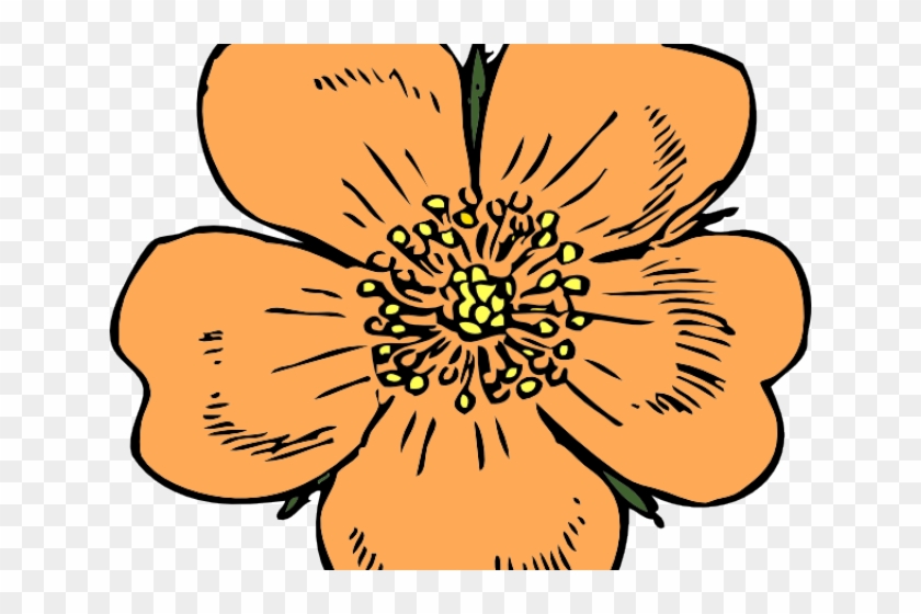 Apricot Clipart Peach Blossom - Wild Rose Clip Art #1732411
