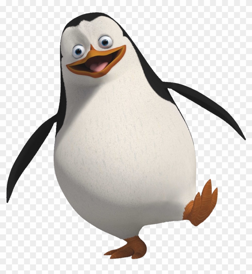 Animals - Madagascar Penguin Png #263089
