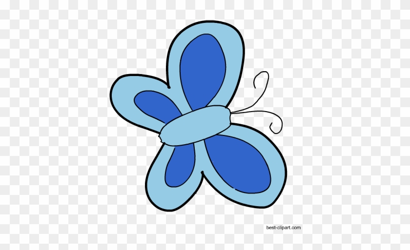 Butterfly #263339