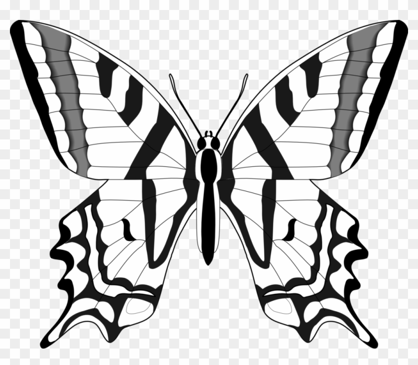 Butterfly Black And White Butterfly Clip Art Black - Butterflies In Black And White #263500
