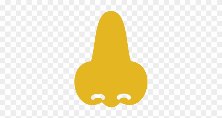 Nose - Nose #1732923