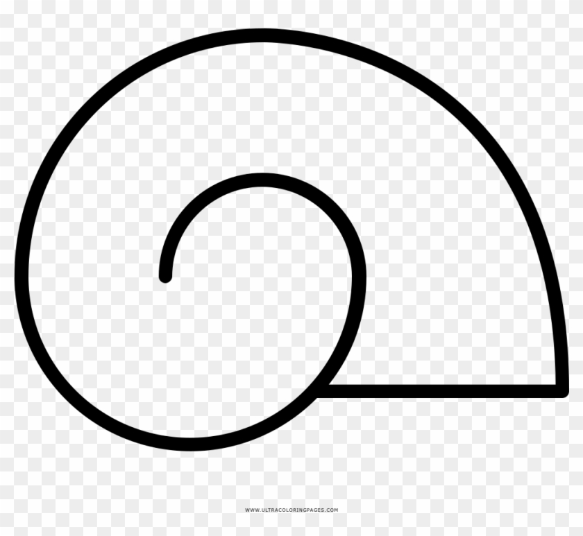 Snail Shell Coloring Page - Caracol Con Su Caparazon #1732943