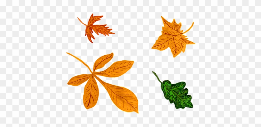 Leaves, Autumn, Watercolor, Isolated - Watercolor Painting #1733343