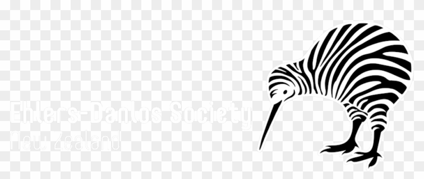 Ehlers Danlos Society New Zealand Incorporated - Ehlers Danlos Society New Zealand Incorporated #1734048